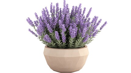 Naklejka premium A decorative lavender plant in a modern pot, ideal for home decor and ambiance.
