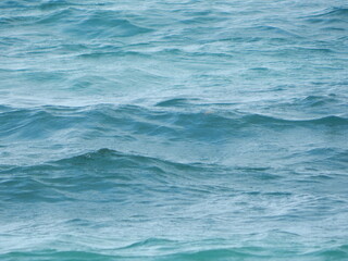 Obraz premium Ocean Waves