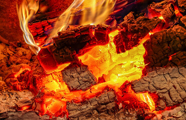 Detail of a burning log