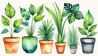 Fototapeta premium Vibrant watercolor houseplants in colorful pots for modern interior design