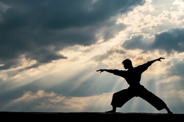 Fototapeta premium Silhouette of a Martial Artist at Sunset