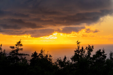 Obraz premium Fiery Sunset Over the Ocean with Silhouetted Trees