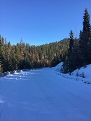 Winter Snow in Oregon Mountains