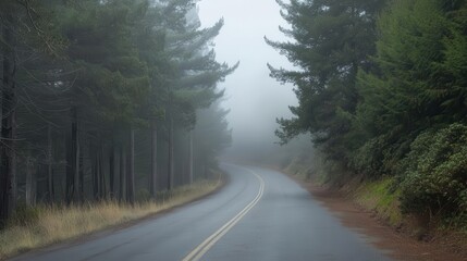 Obraz premium early morning scene of a quiet road lined with tall trees, shrouded in a cool mist, inviting viewers to explore the peaceful path ahead bathed in soft, natural light