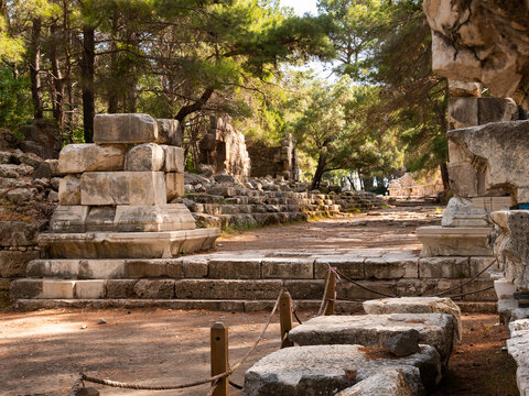 Scenic landscape of shady Beydaglari Coastal National Park on summer day with view of remains of stone supporting pillars of Hadrians Gate on main street of ancient Lycian city of Phaselis, Turkey