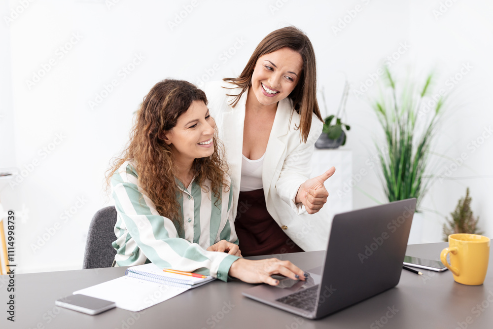 Poster two women in a contemporary office are engaged in a discussion. one is pointing at the laptop screen