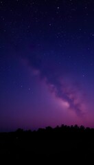 Night Sky Landscape with Starry Milky Way and Silhouetted Trees