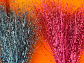 Colorful Dry Broom Weed On Bright Orange Wall Background At Mukdahan, Thailand. 08 Nov 2024. A.M.