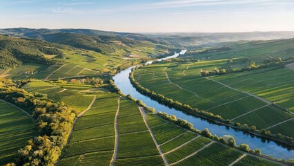 Loire Valley France Aerial Vineyard Daylight A picturesque aerial view of the Loire Valley vineyards in France during daylight