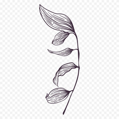 Fototapeta premium Hand drawn spring flowers illustration. floral illustration