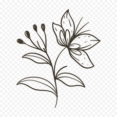 Hand drawn spring flowers illustration. floral illustration