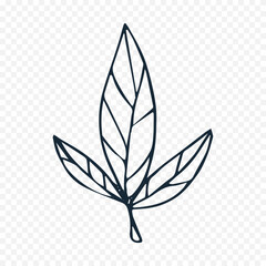 Hand drawn spring flowers illustration. floral illustration