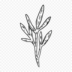 Obraz premium Hand drawn spring flowers illustration. floral illustration