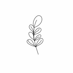 Obraz premium set of leaves
