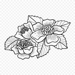 Obraz premium Hand drawn spring flowers illustration. floral illustration