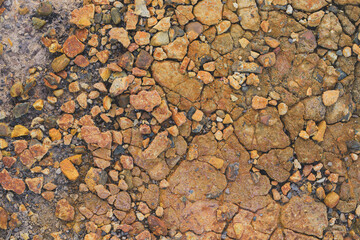 Stony Surface