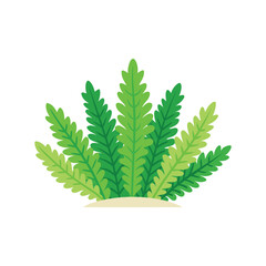 Selaginella flower isolated flat vector illustration on white background