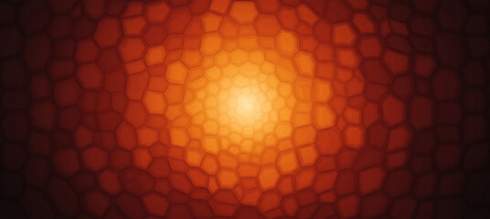 Concentric Hexagons Design