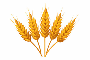 Isolated wheat ears stalks of golden wheat grain isolated on white background vector illustration