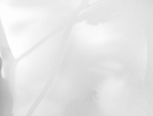 Wall grey shadow light summer background sunight overlay nature on room cement wall floor abstract blur muckup effect grey minimal platform for presentation product backdrop, wallpaper template.