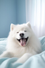 Cheerful Dog Relaxing in a Light Blue Haven