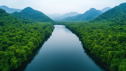 Quiet riverbank with dense forest and distant mountains, remote and untouched natural beauty