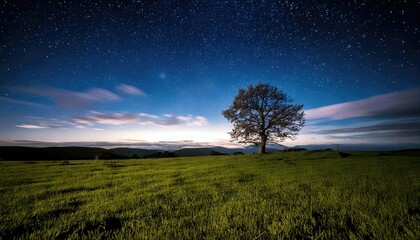 Obraz premium landscape with a tree