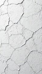 Obraz premium High-contrast image of a plaster wall texture, high contrast photography, pattern repetition, surface texture