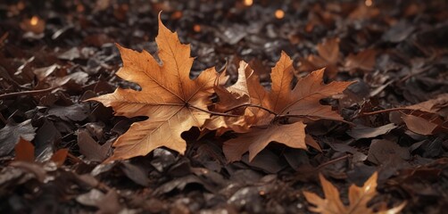 A delicate, smoldering oak leaf suspended among a heap of parched brown leaves and glowing embers , embers, natural world