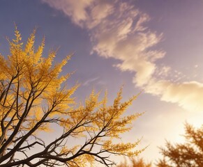 Obraz premium Yellow larch tree branches against a vibrant autumn sky with golden hues, colorful landscape, autumn foliage