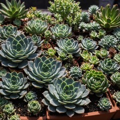 Obraz premium Plants are living organisms that belong to the kingdom Plantae. They are essential to life on Earth, producing oxygen through photosynthesis, providing food, shelter, and medicine, and playing .