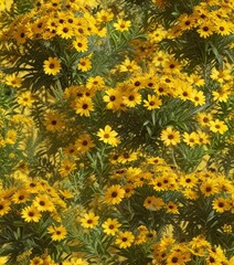Fototapeta premium A beautiful bouquet of goldenrod and black-eyed Susans on a bright sunny yellow background , goldenrod, delicate petals