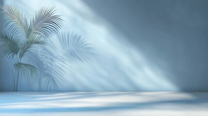 Soft Sunlight Filters Through a Tranquil Space Filled With Shadows and the Delicate Leaves of a Palm Plant, Evoking a Sense of Calm and Serenity in a Minimalist Environment
