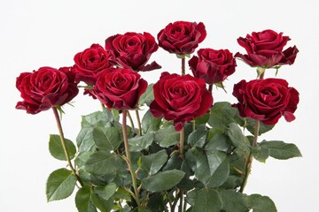 Obraz premium A bouquet of red roses is arranged in a vase