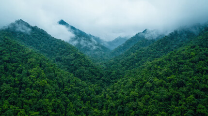Naklejka premium natural transpiration process concept. Lush green mountains with misty clouds above create serene view