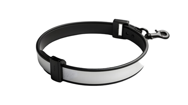 Blank black and white dog collar with plastic buckle mockup isolated on a transparent background