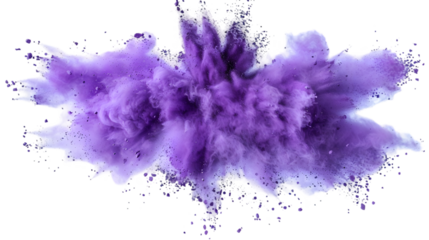 bright purple paint color powder festival explosion burst isolated on a transparent background