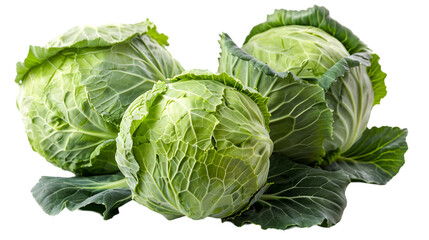 Fototapeta premium cabbage isolated on a transparent background