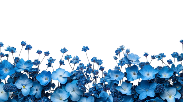 dark blue flowers isolated on a transparent background