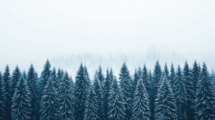 Fototapeta premium Serene Winter Snowfall Blanketing Evergreen Trees in a Foggy Forest Landscape