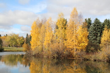Obraz premium Glory Of Fall Season, William Hawrelak Park, Edmonton, Alberta