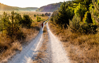 Dirt road through the field in the early morning.
