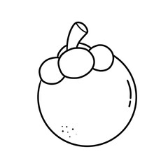 Simple black line drawing of whole mangosteen and halved mangosteen with seeds inside for various media composition, fruit coloring