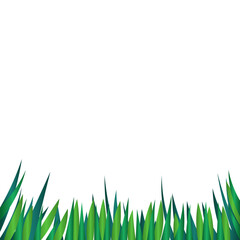 Green Grass Landscape Illustration