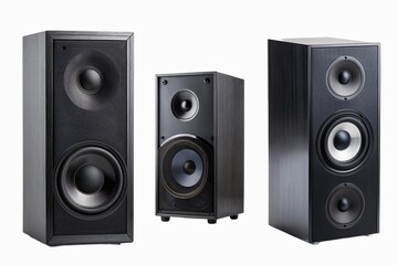 Fototapeta premium black bookshelf speaker isolated on white background. Clipping path.