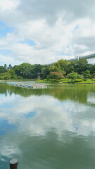 Fototapeta premium 日本の公園【千葉県千葉市】千葉公園・綿打池