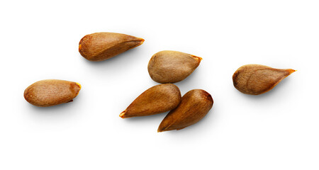 Dry apple seeds isolated on white