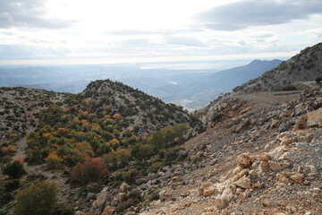 Fototapeta premium hiking trail of Rouvas , panoramic view