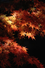 茨城県　月山寺の大イチョウと紅葉
