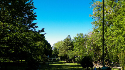 Landscape of King Mihai I Park, Bucharest, Romania.